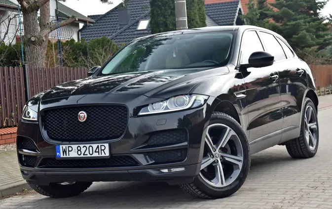 jaguar f-pace Jaguar F-Pace cena 110999 przebieg: 151000, rok produkcji 2016 z Płock